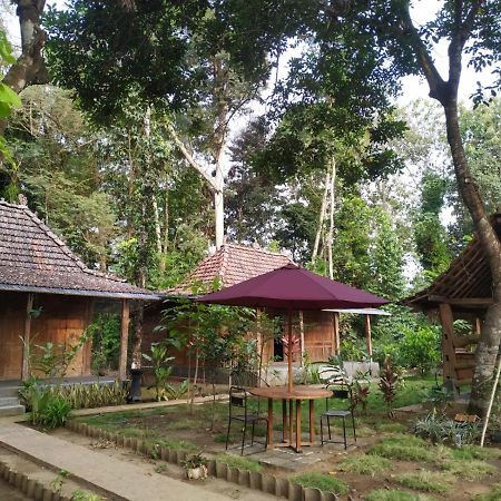 Omah Kayu Jagalan Hotel Magelang Eksteriør billede