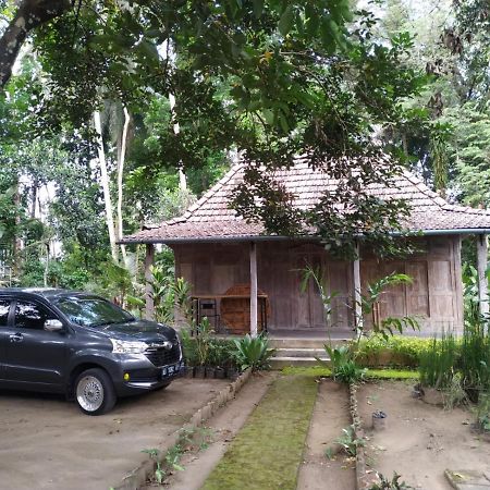 Omah Kayu Jagalan Hotel Magelang Eksteriør billede