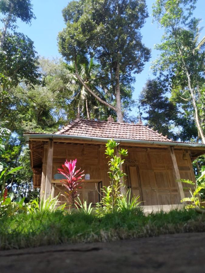 Omah Kayu Jagalan Hotel Magelang Eksteriør billede